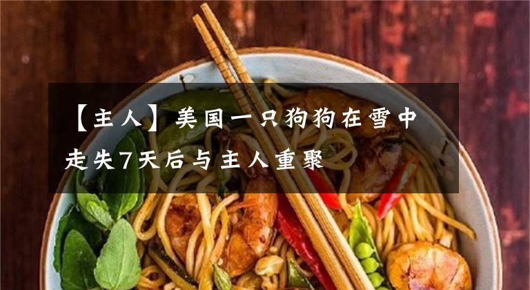 【主人】美国一只狗狗在雪中走失7天后与主人重聚