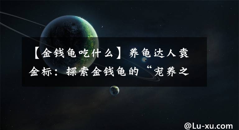 【金钱龟吃什么】养龟达人袁金标:探索金钱龟的“宠养之路”
