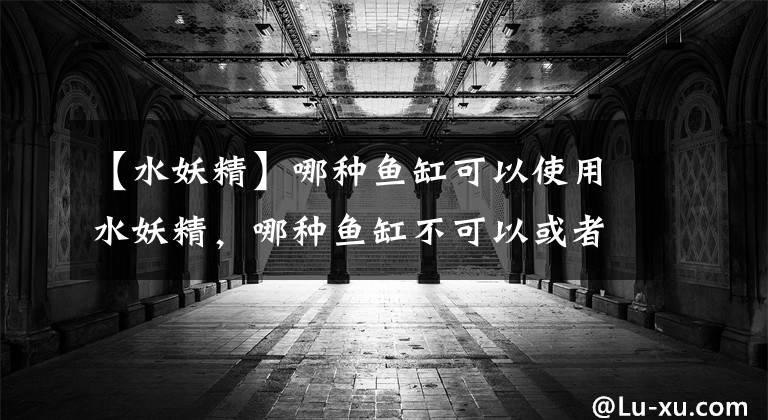 【水妖精】哪种鱼缸可以使用水妖精,哪种鱼缸不可以或者没有必要使用?