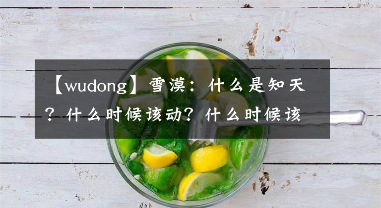 【wudong】雪漠：什么是知天？什么时候该动？什么时候该藏？什么时候该出…