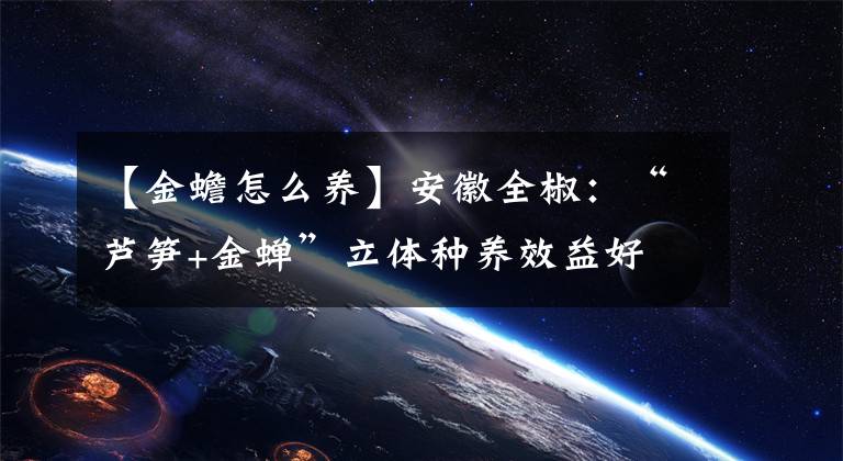 【金蟾怎么养】安徽全椒:“芦笋+金蝉”立体种养效益好