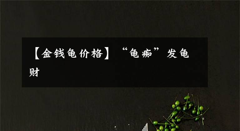 【金钱龟价格】“龟痴”发龟财