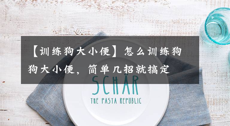 【训练狗大小便】怎么训练狗狗大小便，简单几招就搞定