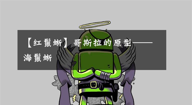 【红鬣蜥】哥斯拉的原型——海鬣蜥