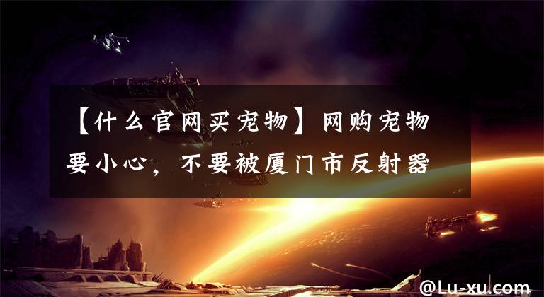 【什么官网买宠物】网购宠物要小心，不要被厦门市反射器中心欺骗