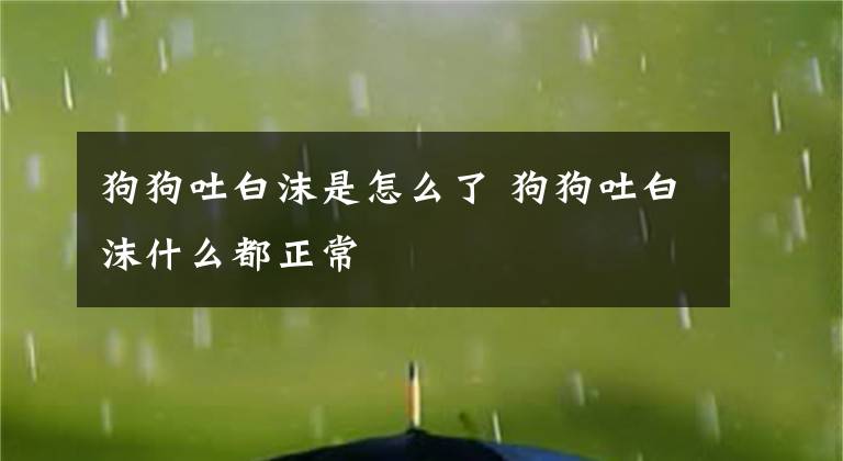 狗狗吐白沫是怎么了 狗狗吐白沫什么都正常