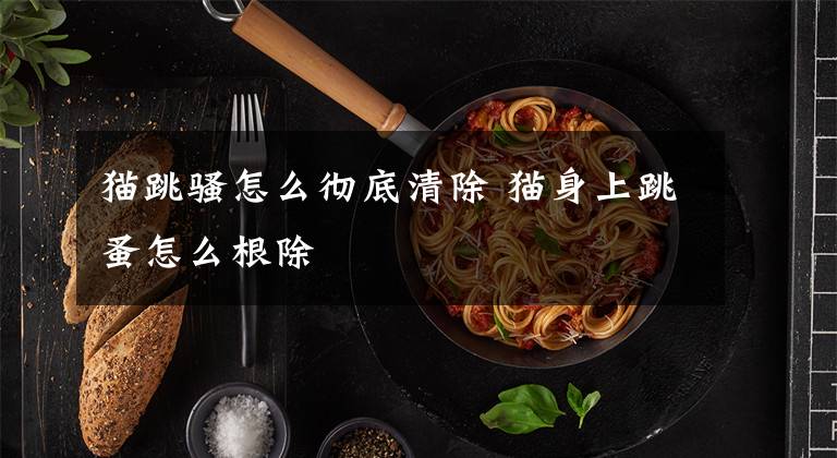 猫跳骚怎么彻底清除 猫身上跳蚤怎么根除