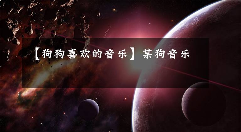 【狗狗喜欢的音乐】某狗音乐