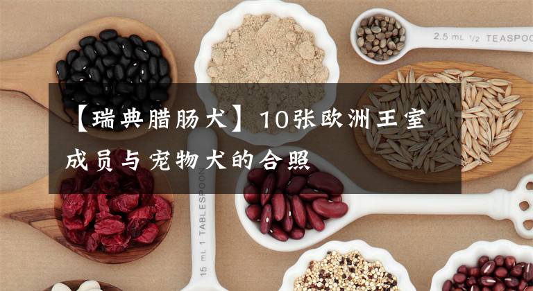 【瑞典腊肠犬】10张欧洲王室成员与宠物犬的合照