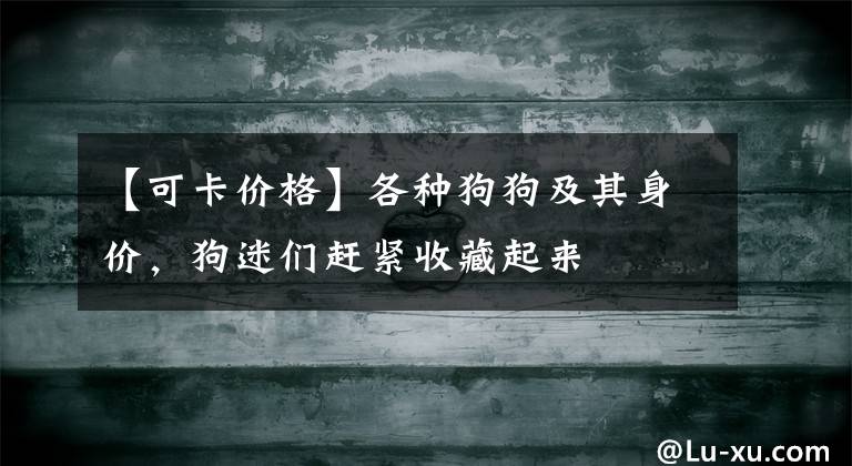 【可卡价格】各种狗狗及其身价，狗迷们赶紧收藏起来