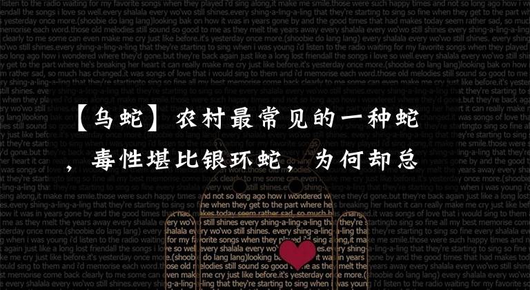 【乌蛇】农村最常见的一种蛇，毒性堪比银环蛇，为何却总被人当成无毒蛇？