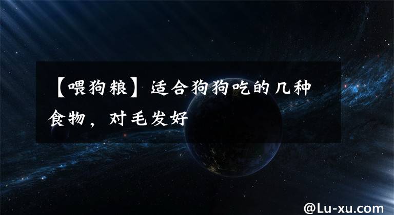 【喂狗粮】适合狗狗吃的几种食物，对毛发好