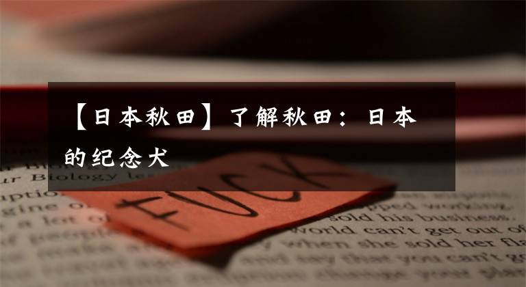 【日本秋田】了解秋田：日本的纪念犬