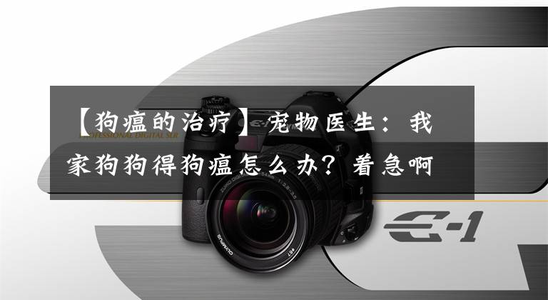 【狗瘟的治疗】宠物医生：我家狗狗得狗瘟怎么办？着急啊