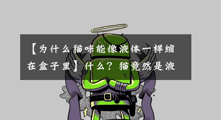 【为什么猫咪能像液体一样缩在盒子里】什么？猫竟然是液体，不信你看