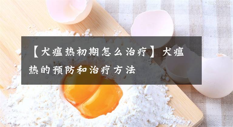 【犬瘟热初期怎么治疗】犬瘟热的预防和治疗方法