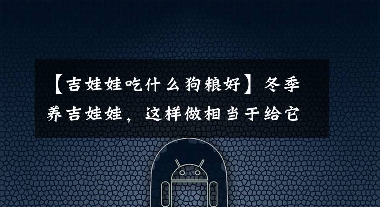 【吉娃娃吃什么狗粮好】冬季养吉娃娃，这样做相当于给它“折寿”