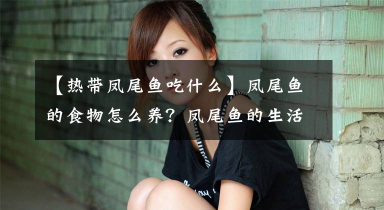 【热带凤尾鱼吃什么】凤尾鱼的食物怎么养?凤尾鱼的生活习性介绍!