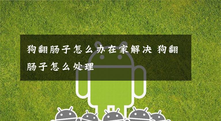 狗翻肠子怎么办在家解决 狗翻肠子怎么处理