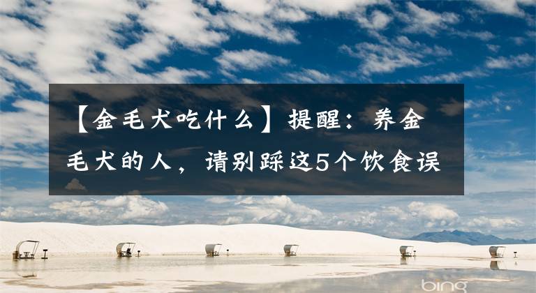 【金毛犬吃什么】提醒：养金毛犬的人，请别踩这5个饮食误区