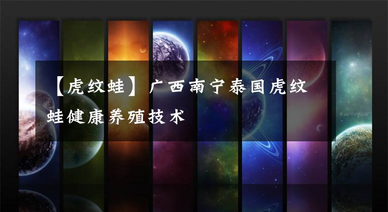 【虎纹蛙】广西南宁泰国虎纹蛙健康养殖技术