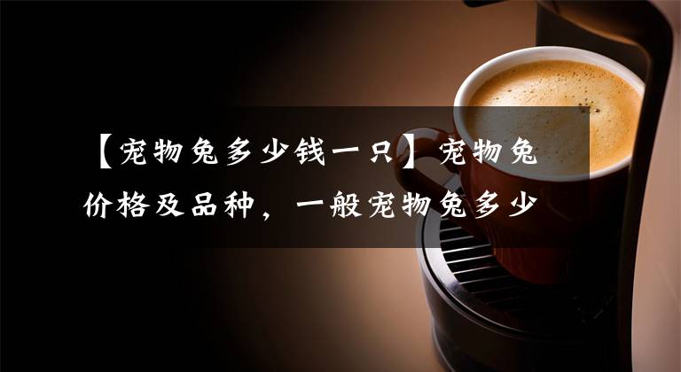 【宠物兔多少钱一只】宠物兔价格及品种，一般宠物兔多少钱一只