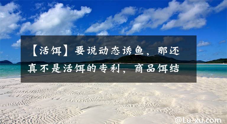 【活饵】要说动态诱鱼,那还真不是活饵的专利,商品饵结合逗钓也可以