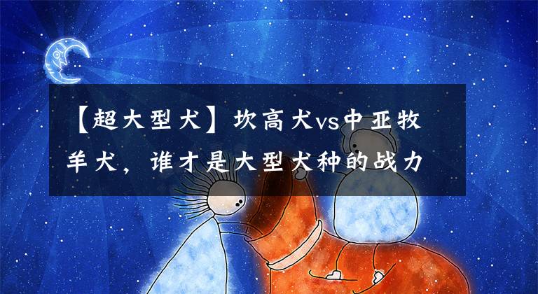 【超大型犬】坎高犬vs中亚牧羊犬,谁才是大型犬种的战力天花板?