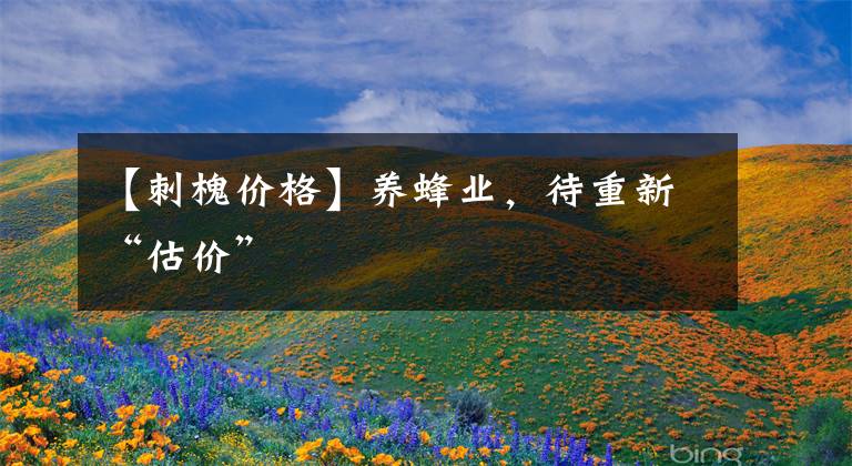 【刺槐价格】养蜂业，待重新“估价”