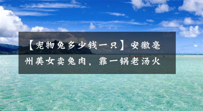 【宠物兔多少钱一只】安徽亳州美女卖兔肉，靠一锅老汤火了快40年，37元1斤日卖7000元