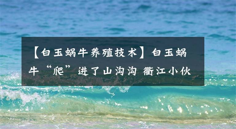 【白玉蜗牛养殖技术】白玉蜗牛“爬”进了山沟沟 衢江小伙引进创新养殖成“网红”