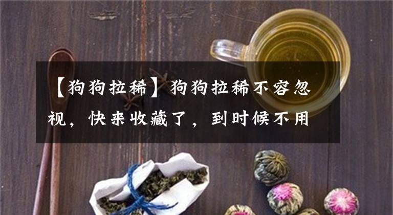【狗狗拉稀】狗狗拉稀不容忽视,快来收藏了,到时候不用担心