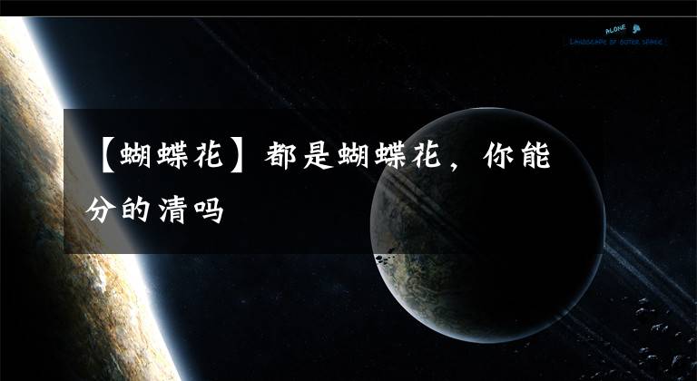 【蝴蝶花】都是蝴蝶花，你能分的清吗