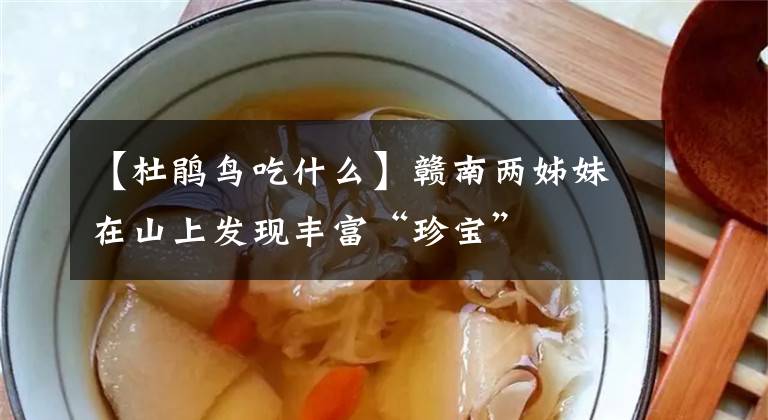 【杜鹃鸟吃什么】赣南两姊妹在山上发现丰富“珍宝”