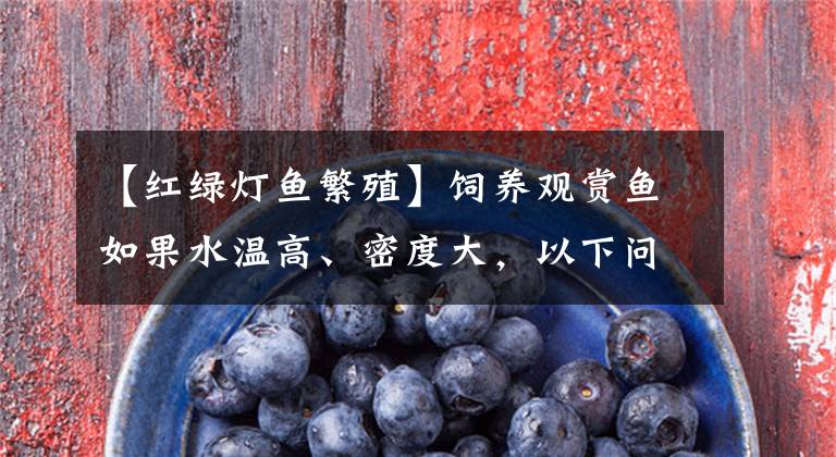 【红绿灯鱼繁殖】饲养观赏鱼如果水温高、密度大，以下问题我们千万要注意！