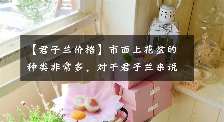 【君子兰价格】市面上花盆的种类非常多，对于君子兰来说哪种最适合呢？