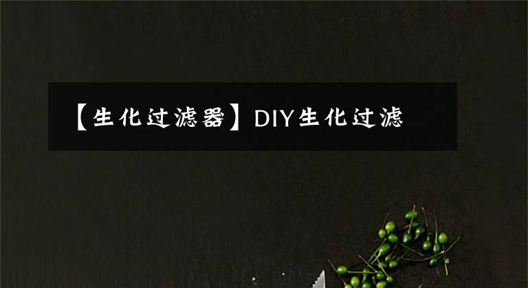【生化过滤器】DIY生化过滤