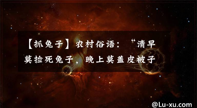 【抓兔子】农村俗语:“清早莫捡死兔子,晚上莫盖皮被子”,是啥意思?