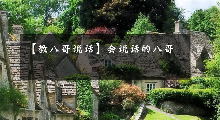 【教八哥说话】会说话的八哥