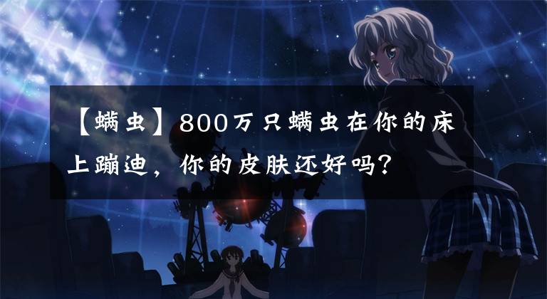 【螨虫】800万只螨虫在你的床上蹦迪，你的皮肤还好吗？