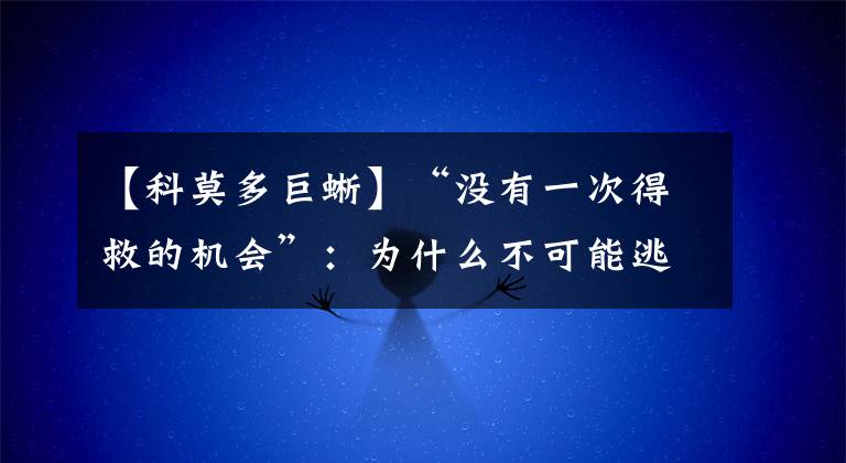 【科莫多巨蜥】“没有一次得救的机会”：为什么不可能逃离科莫多巨蜥
