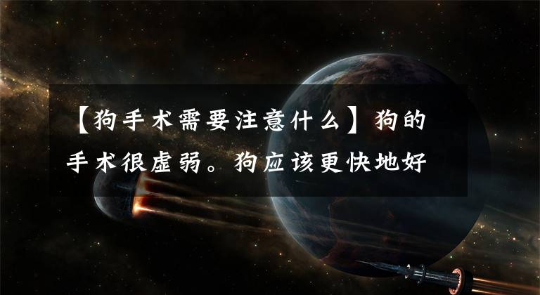 【狗手术需要注意什么】狗的手术很虚弱。狗应该更快地好起来。主人要注意这六点