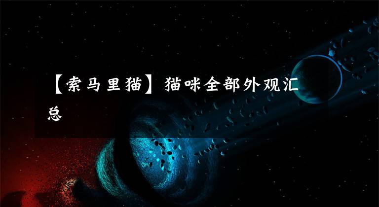 【索马里猫】猫咪全部外观汇总