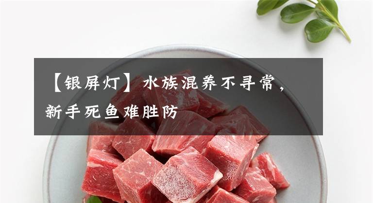 【银屏灯】水族混养不寻常，新手死鱼难胜防