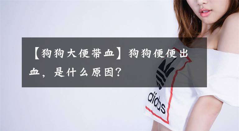 【狗狗大便带血】狗狗便便出血，是什么原因？