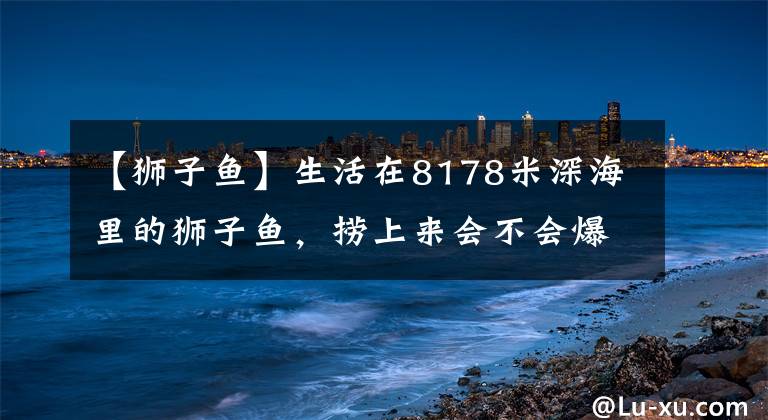【狮子鱼】生活在8178米深海里的狮子鱼，捞上来会不会爆炸？