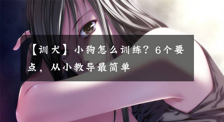 【训犬】小狗怎么训练?6个要点,从小教导最简单