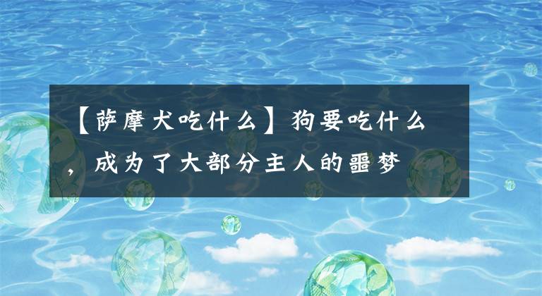 【萨摩犬吃什么】狗要吃什么，成为了大部分主人的噩梦