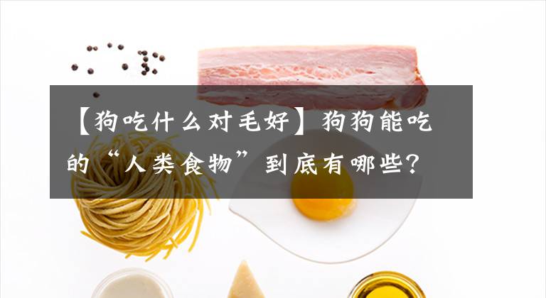 【狗吃什么对毛好】狗狗能吃的“人类食物”到底有哪些？不知道的，看过来