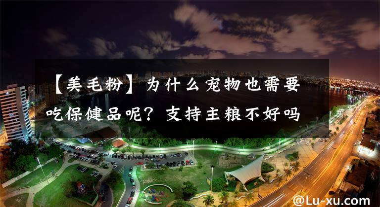 【美毛粉】为什么宠物也需要吃保健品呢？支持主粮不好吗？